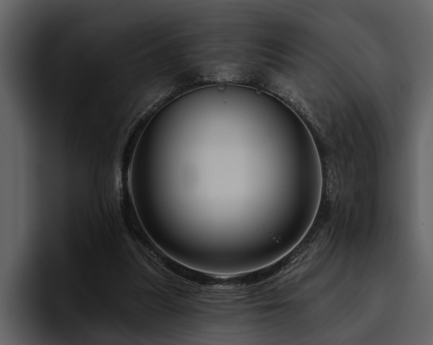 X0000095920251200801111241