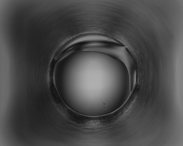 X0000095920252200801111241