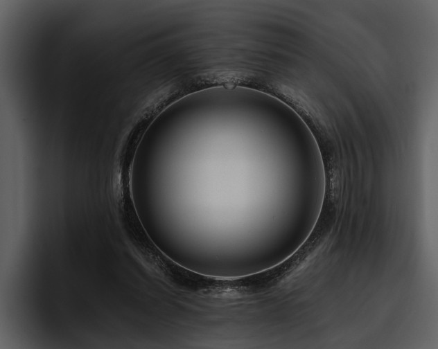 X0000095920254200801111241