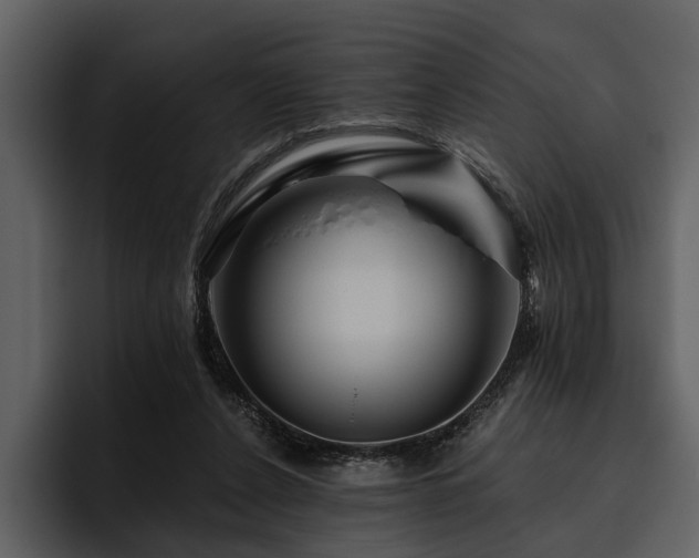 X0000095920256200801111241