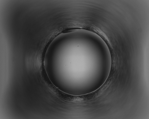 X0000095920257200801111241