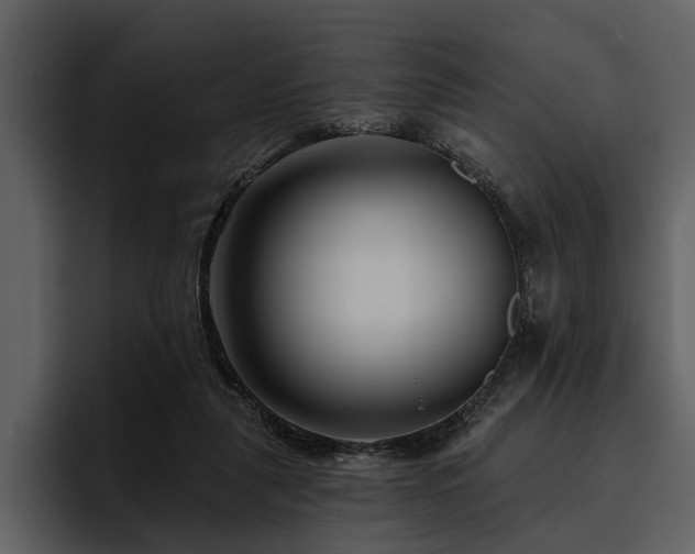 X0000095920259200801111241