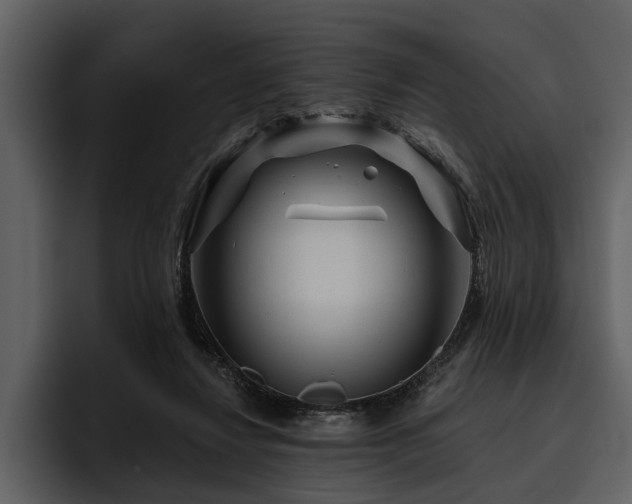 X0000095920260200801111241