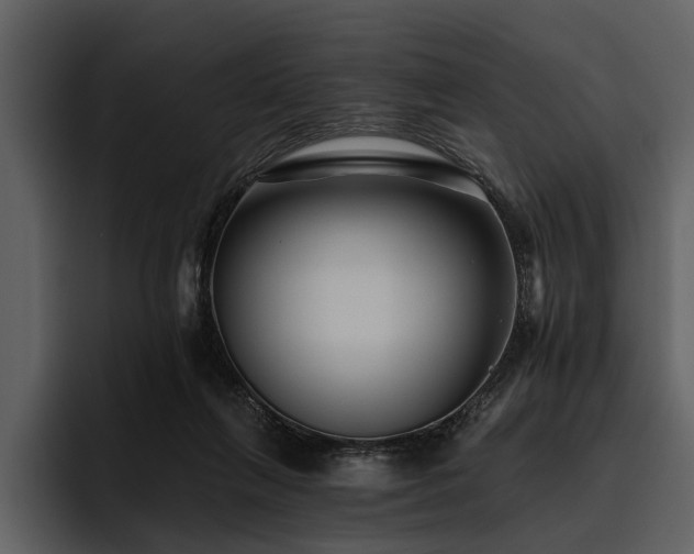 X0000095920263200801111241