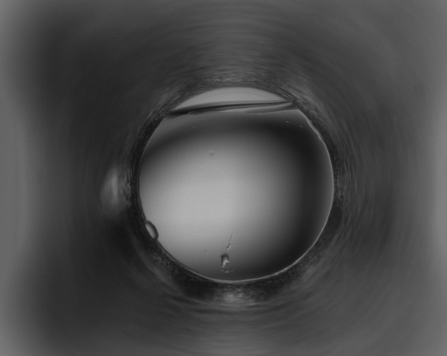 X0000095920264200801111241