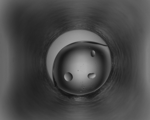 X0000095920268200801111241