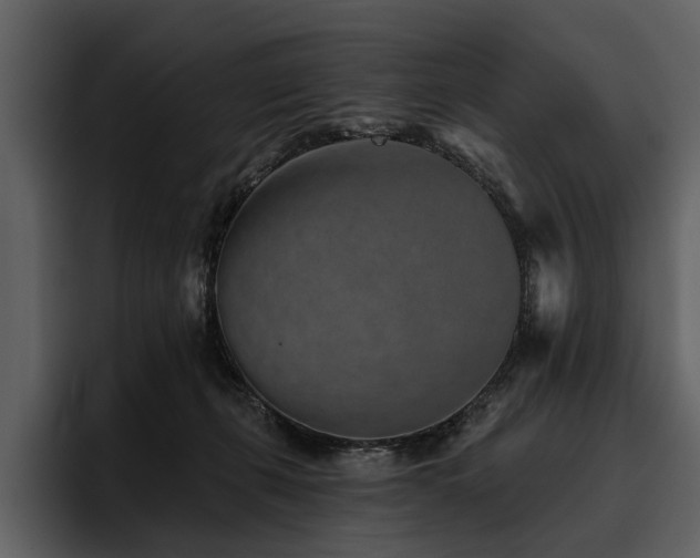 X0000095920271200801111241