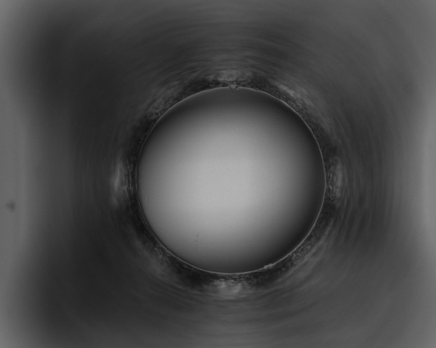 X0000095920272200801111241