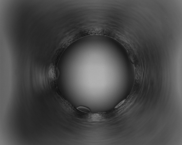 X0000095920287200801111241