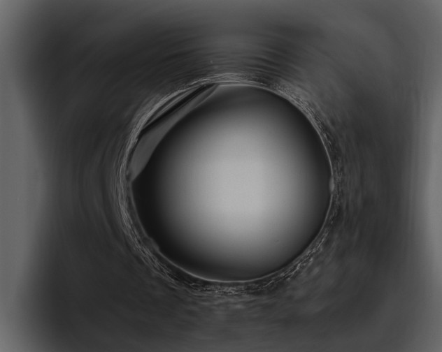 X0000095920289200801111241