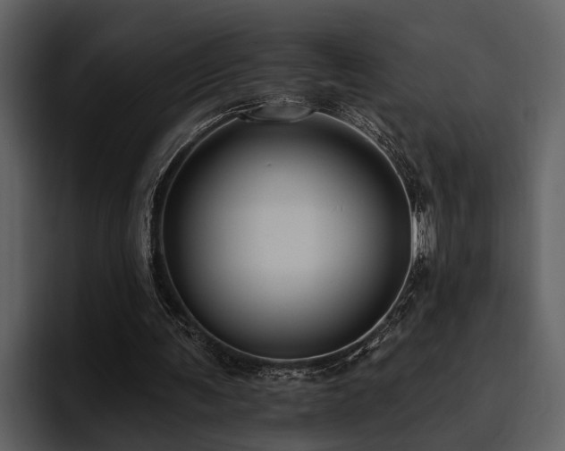 X0000095920291200801111240