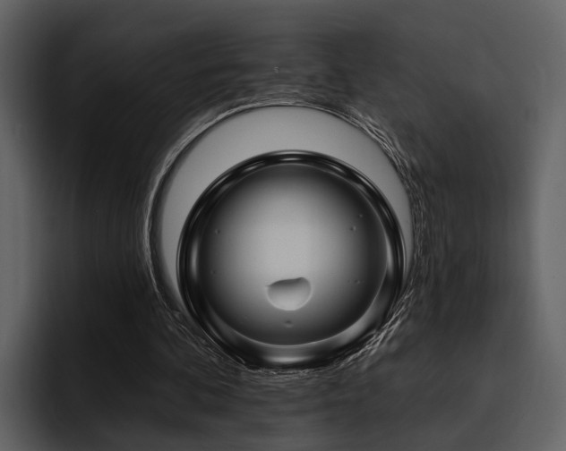 X0000095920292200801111240
