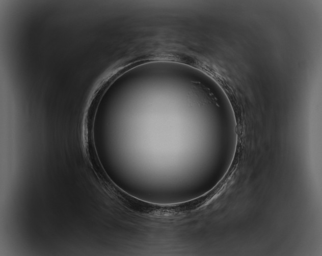 X0000095920294200801111240