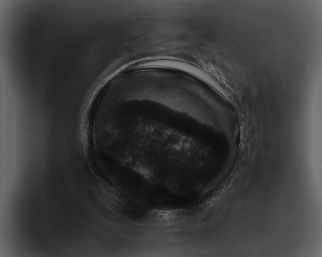 X0000095920295200801111240