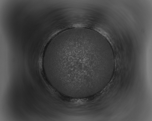 X0000095920297200801111240