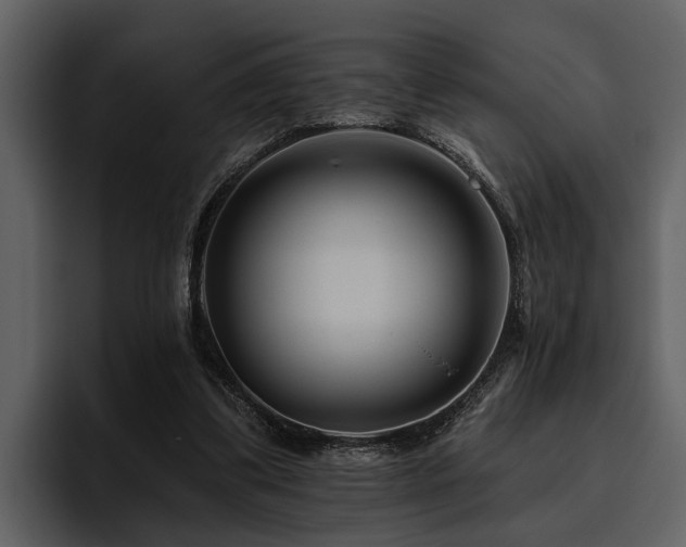 X0000095920299200801111240