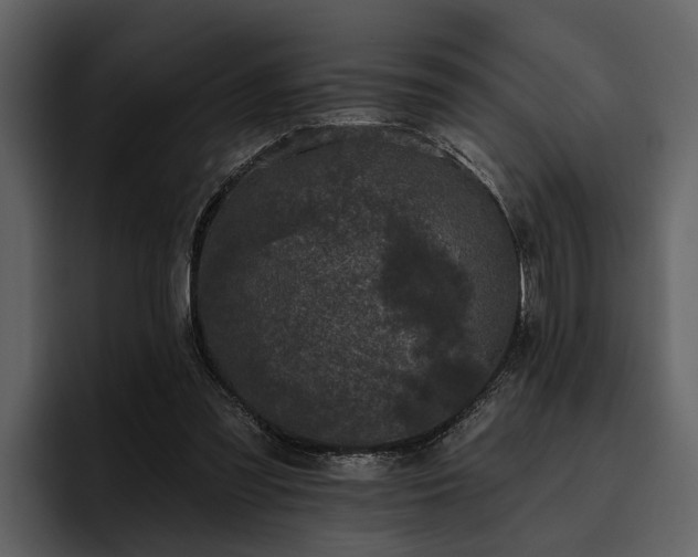 X0000095920301200801111240