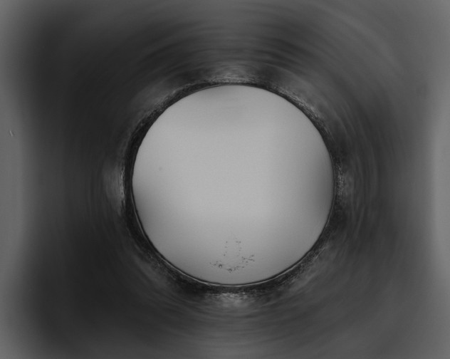 X0000095920302200801111240
