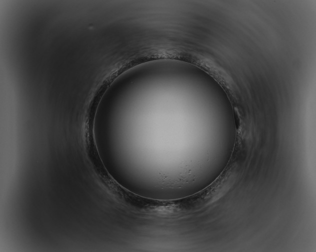 X0000095920306200801111240