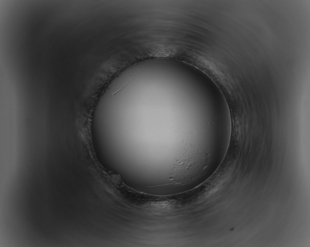 X0000095920307200801111240