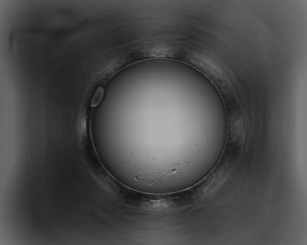 X0000095920310200801111240