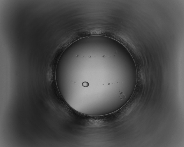 X0000095920311200801111240
