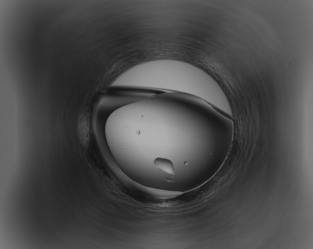 X0000095920312200801111240