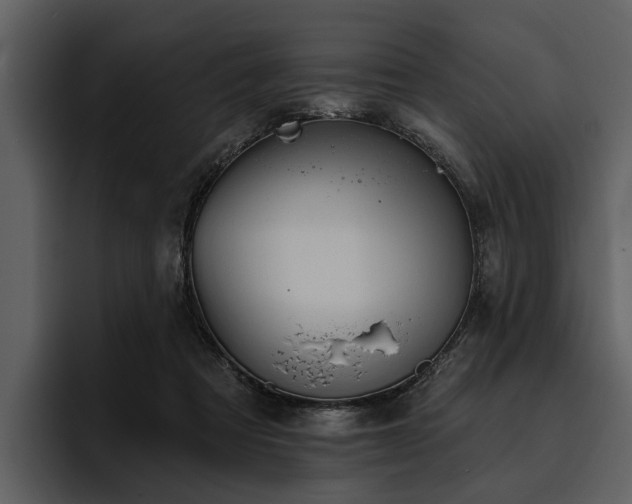 X0000095920313200801111240