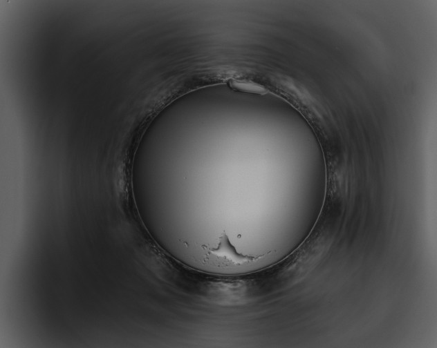 X0000095920317200801111240