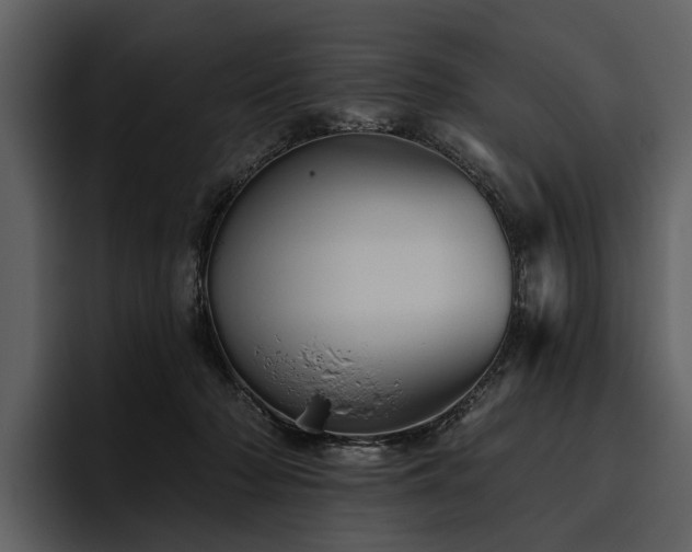 X0000095920318200801111240