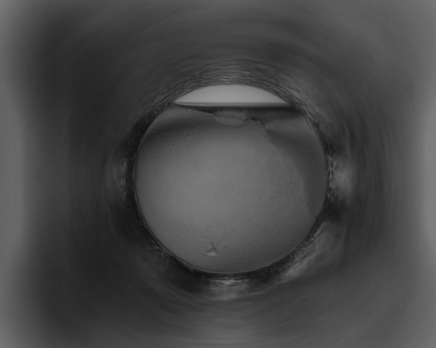 X0000095920319200801111240