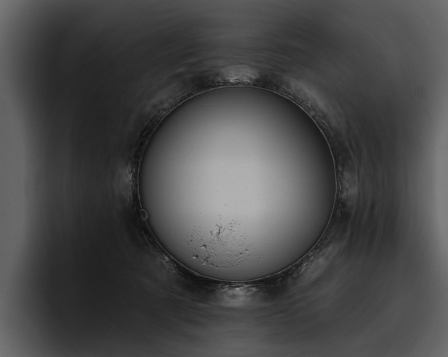 X0000095920321200801111240