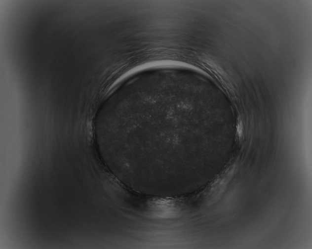 X0000095920325200801111240
