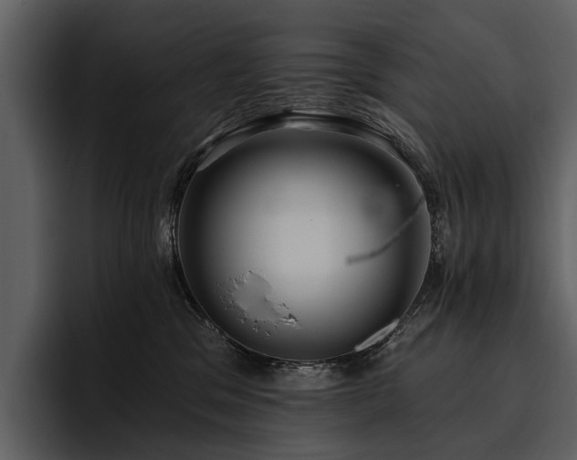X0000095920329200801111240