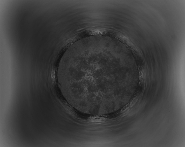 X0000095920331200801111240