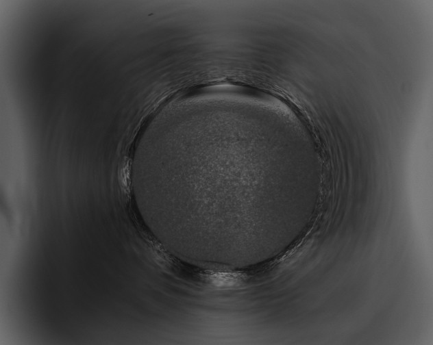 X0000095920336200801111240