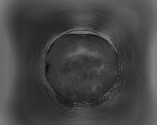 X0000095920337200801111239
