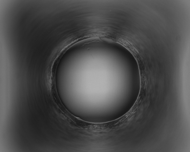 X0000095920338200801111239