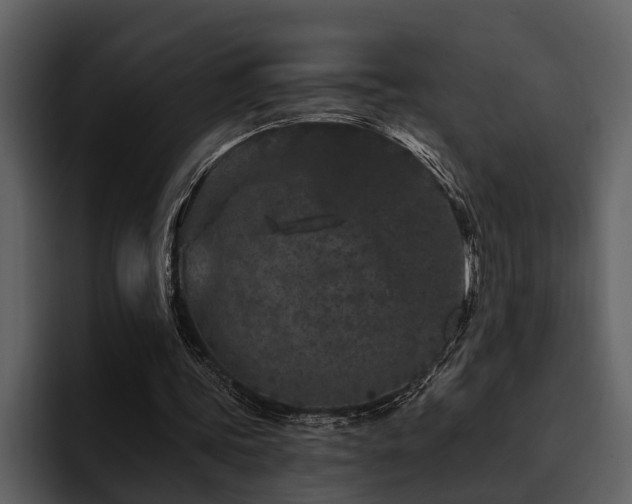 X0000095920339200801111239