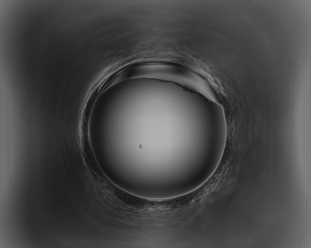 X0000095920340200801111239
