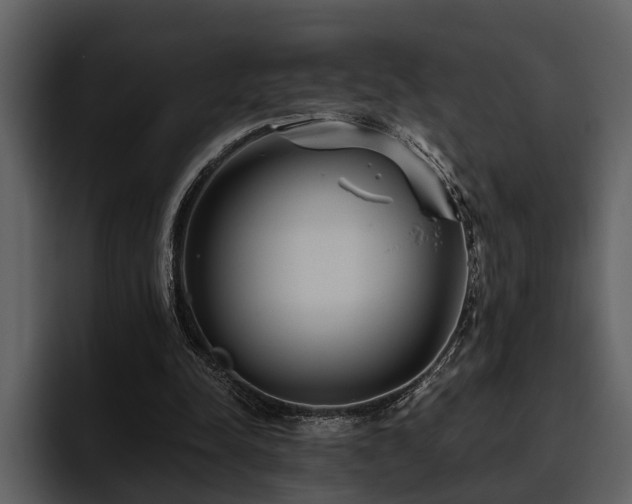 X0000095920342200801111239