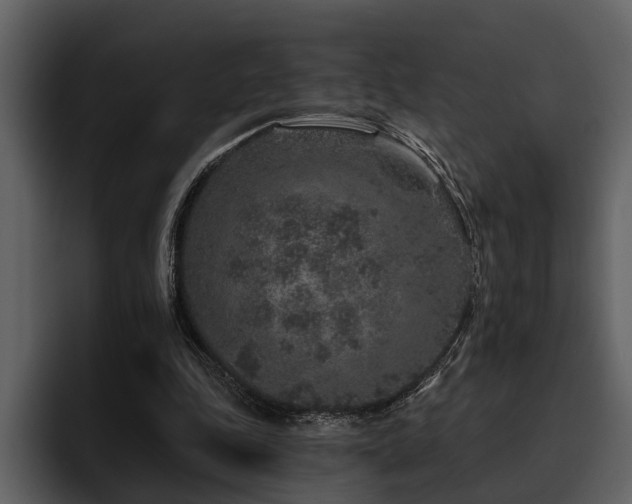 X0000095920343200801111239