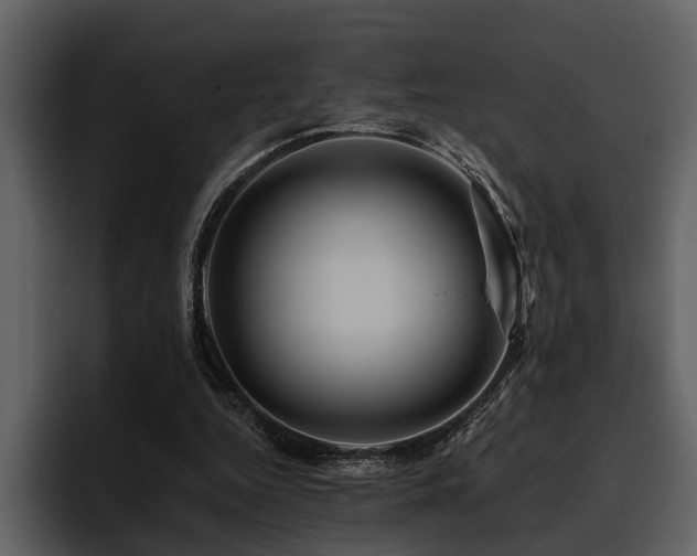 X0000095920344200801111239