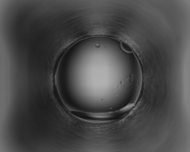 X0000095920345200801111239