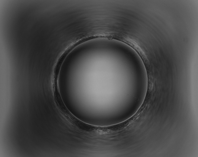 X0000095920346200801111239