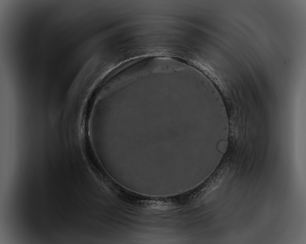 X0000095920347200801111239