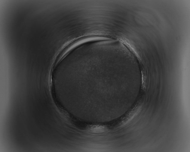 X0000095920348200801111239