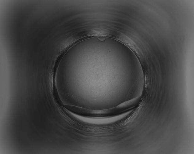 X0000095920349200801111239