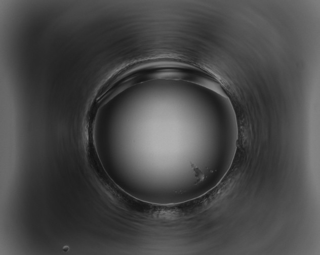 X0000095920350200801111239