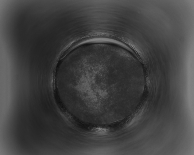 X0000095920352200801111239